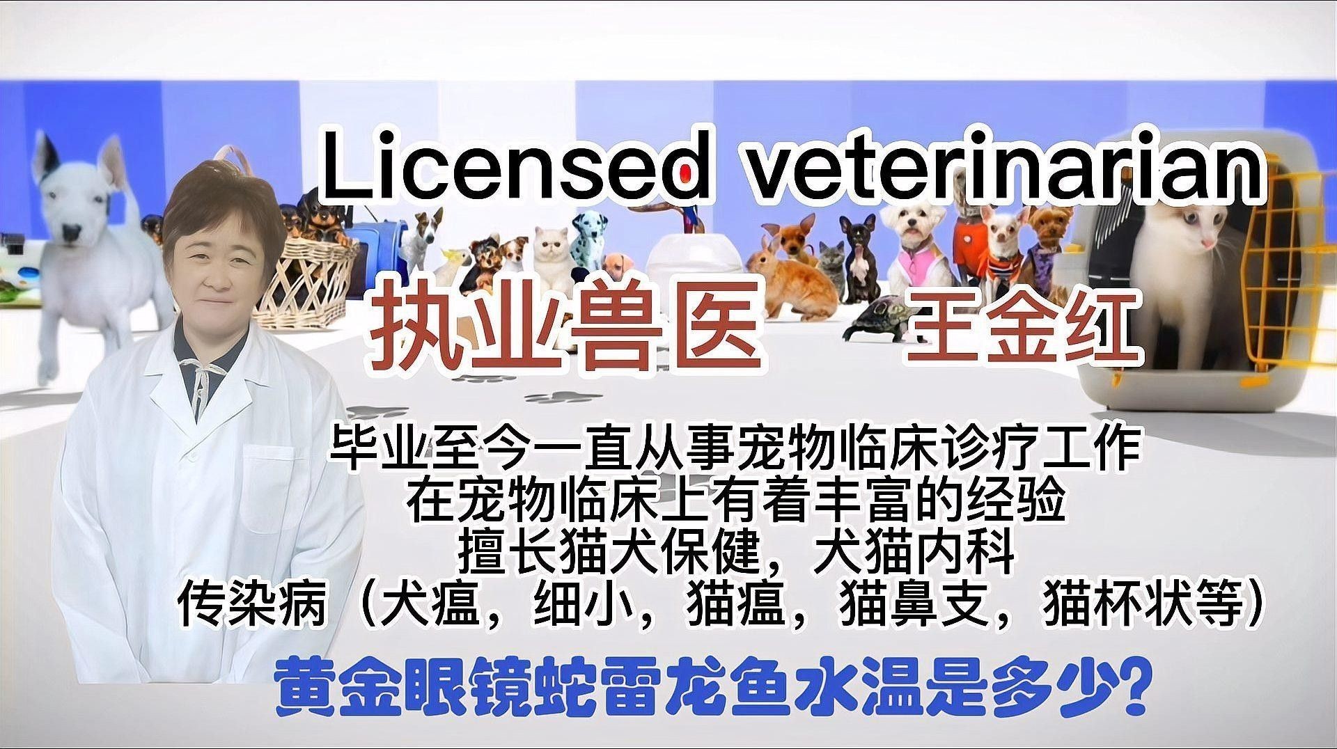 雷龍魚水溫