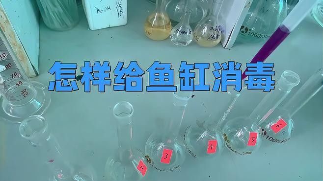 龍魚缸裝飾品如何消毒 龍魚缸裝飾品如何消毒 龍魚百科 第2張