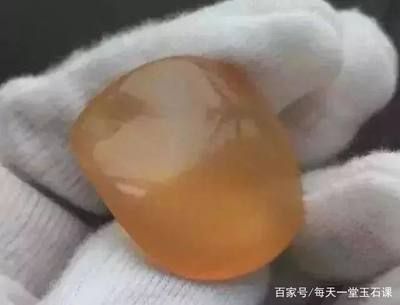 真正的魚寶圖片