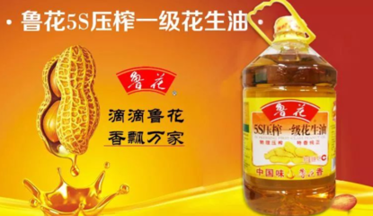 金龍魚品牌是哪個國家的 金龍魚品牌是哪個國家的 龍魚百科 第4張