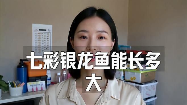銀龍魚怎么喂養(yǎng),需要注意什么呢圖片