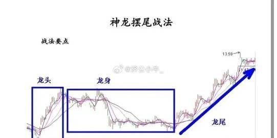 龍頭和龍尾如何互補(bǔ)