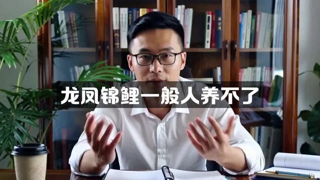 龍鳳錦鯉的養(yǎng)殖難度大嗎？