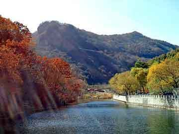 紅龍魚(yú)十大名牌排名