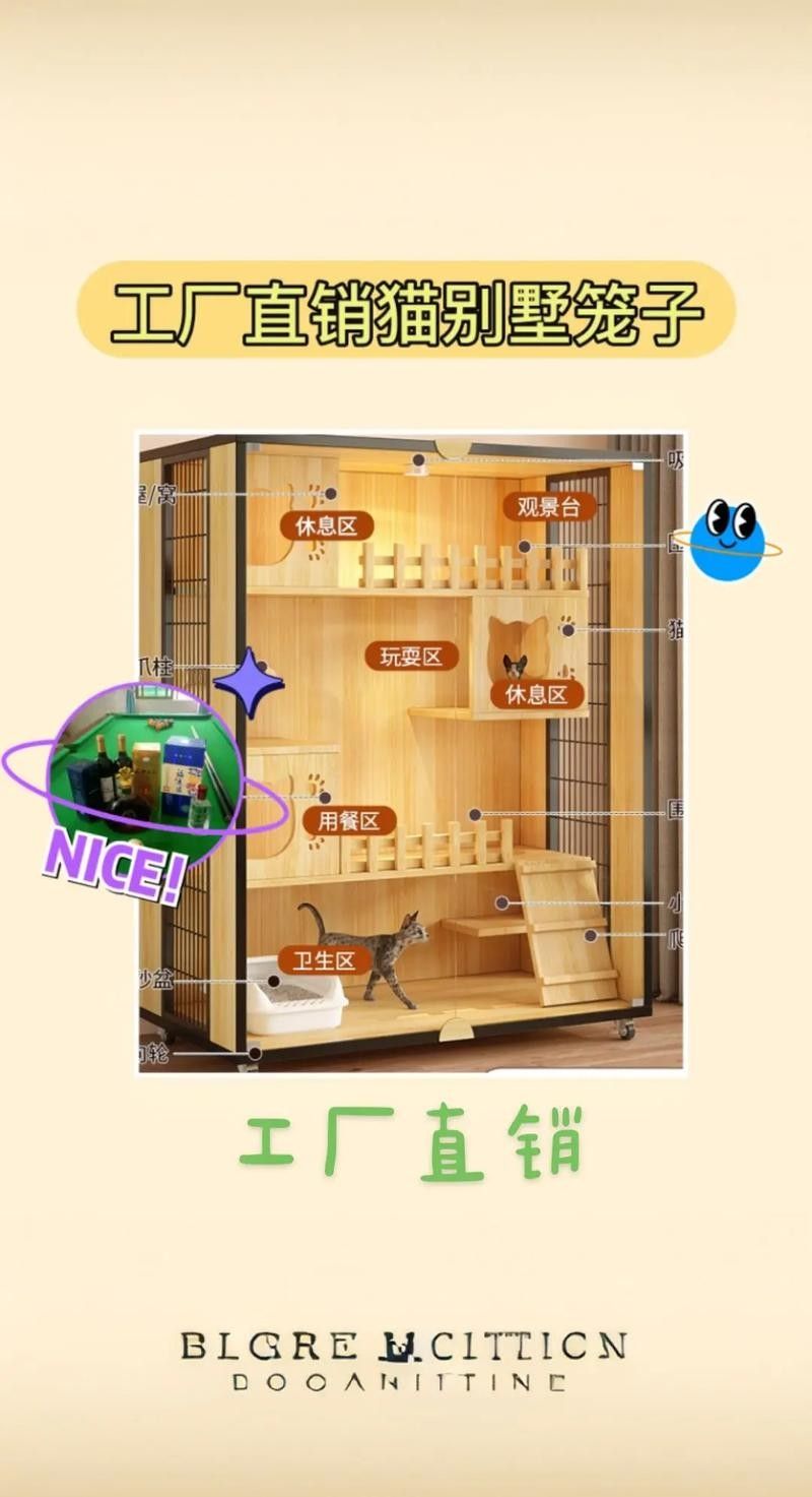 龍貓和貓哪個(gè)更適合家庭環(huán)境？