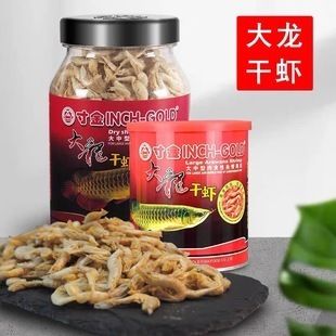 紅龍魚白毛病怎么治（紅龍魚白毛病治療方法）