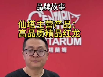 頂級紅龍魚品牌有哪些名字大全
