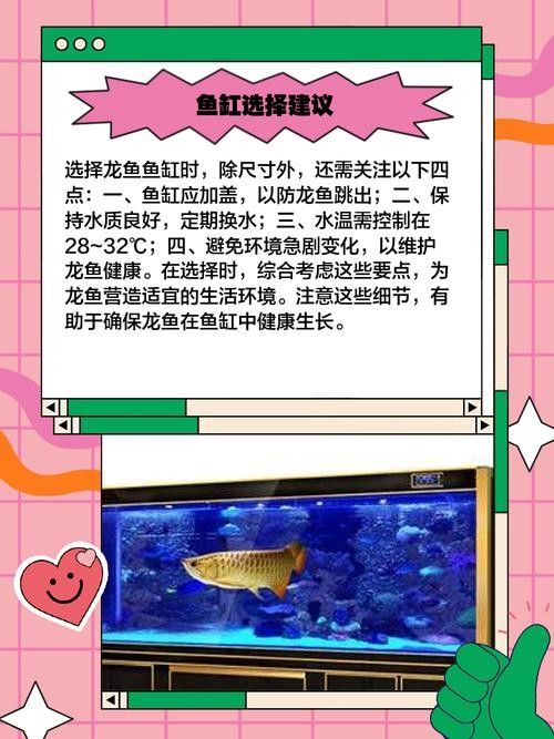龍魚魚缸需要多大的空間？
