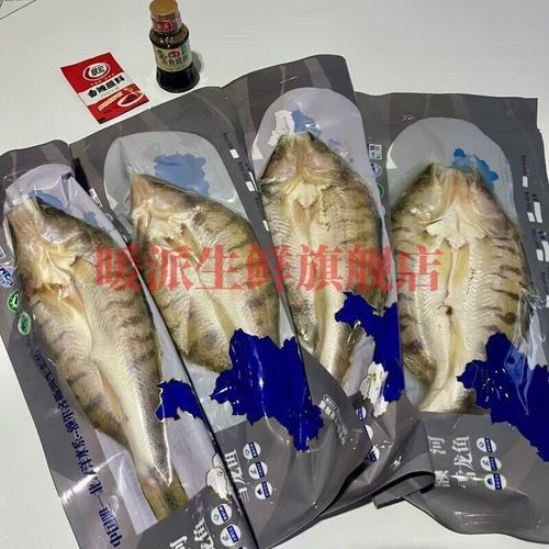 雪龍魚是龍利魚嗎圖片 雪龍魚是龍利魚嗎圖片 龍魚百科 第17張