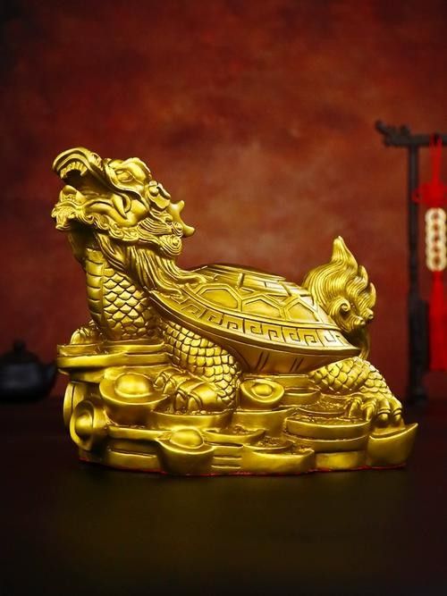 龍龜圖片在哪里可以找到？ 龍龜圖片在哪里可以找到？ 龍魚百科 第21張