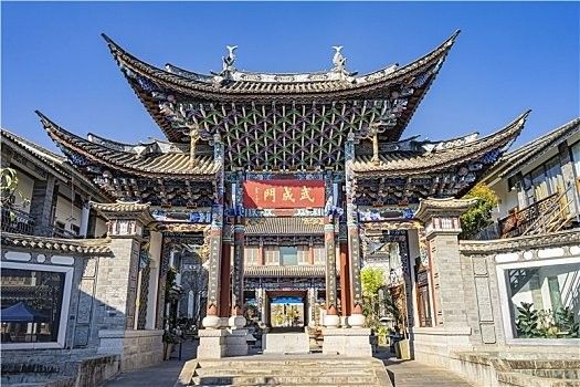 龍龜圖片在哪里可以找到？ 龍龜圖片在哪里可以找到？ 龍魚百科 第24張