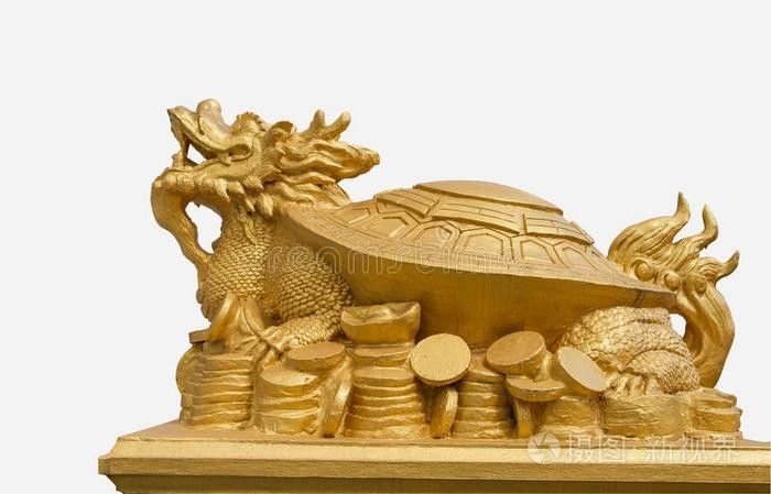 龍龜圖片在哪里可以找到？ 龍龜圖片在哪里可以找到？ 龍魚百科 第28張