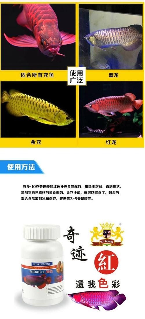 龍魚沉在水底怎么回事兒圖片
