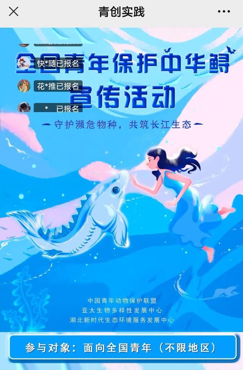 鱘龍魚圖片中華鱘