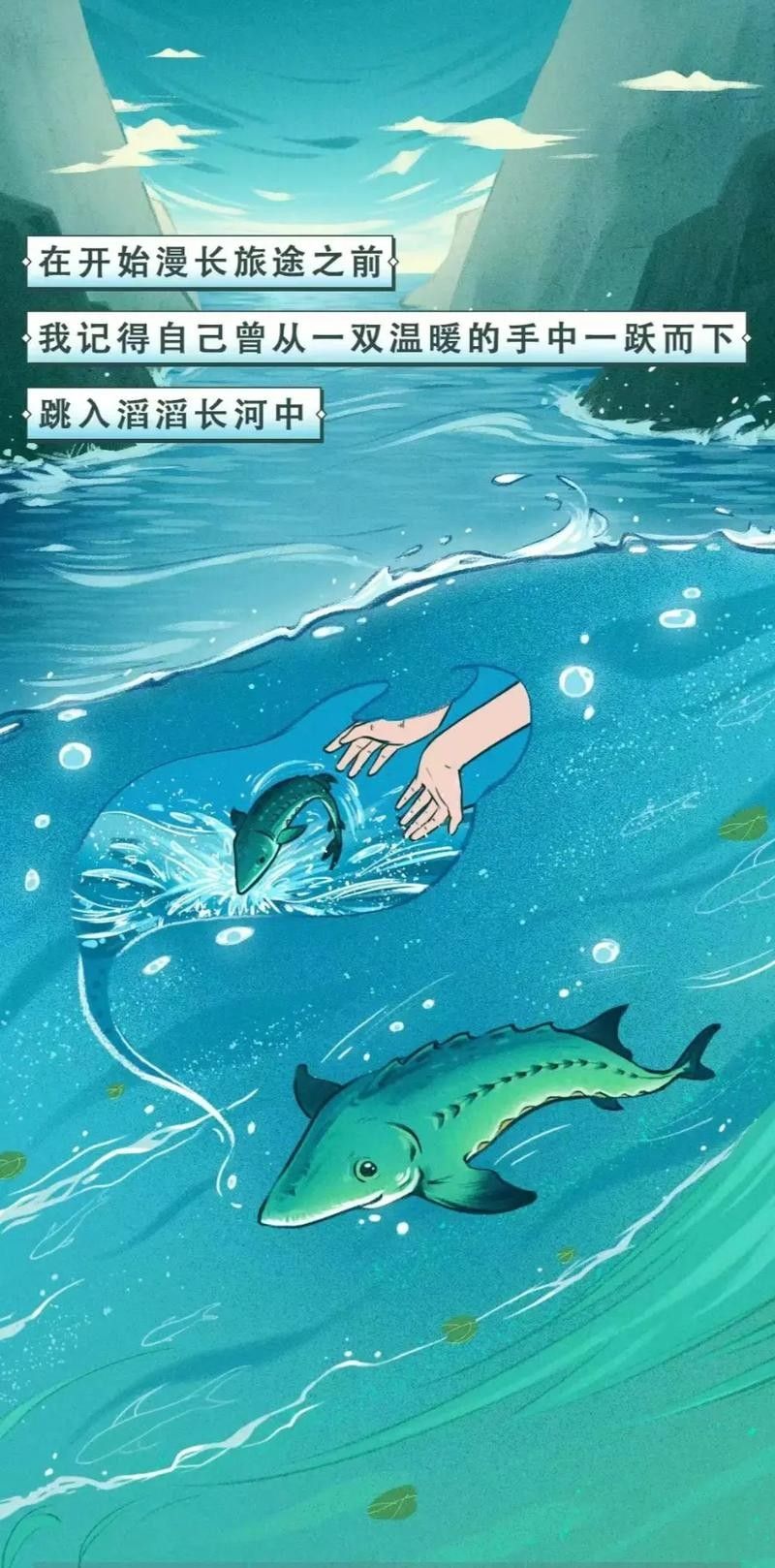 鱘龍魚圖片中華鱘