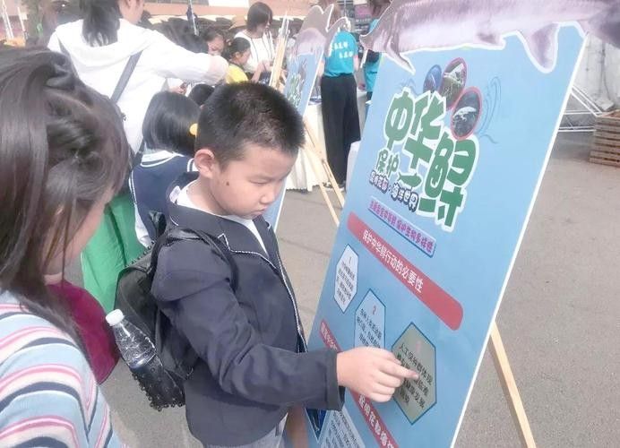 鱘龍魚圖片中華鱘