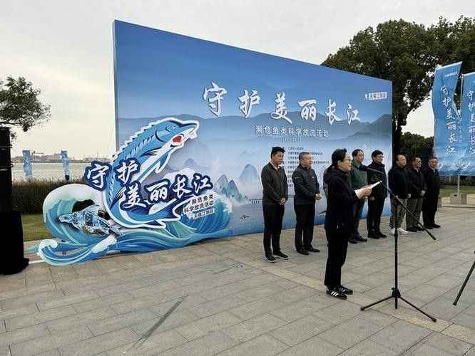 鱘龍魚圖片中華鱘