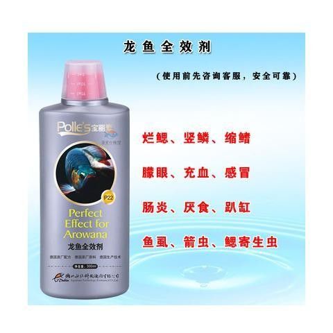 銀龍魚爛尾爛鰭怎么辦呢圖片視頻大全