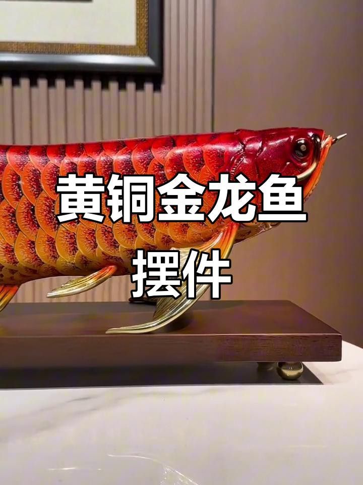 龍頭魚擺件哪個材質(zhì)最好？ 龍頭魚擺件哪個材質(zhì)最好？ 龍魚百科 第6張