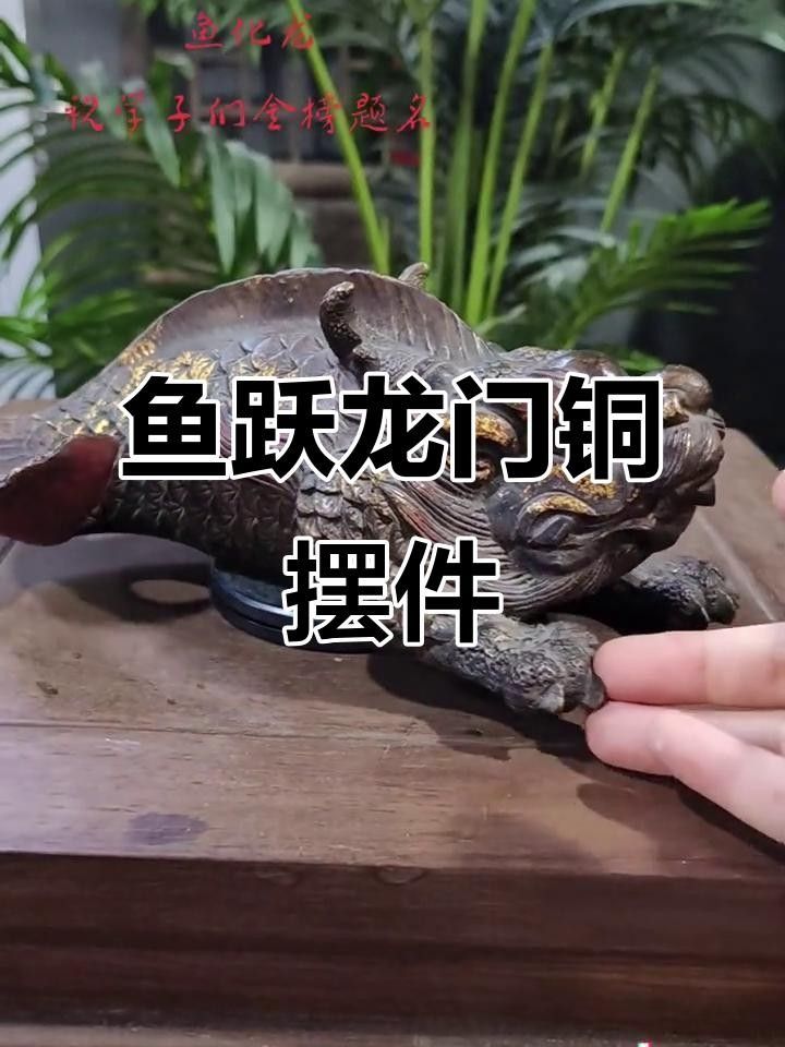 龍頭魚擺件哪個材質(zhì)最好？ 龍頭魚擺件哪個材質(zhì)最好？ 龍魚百科 第4張