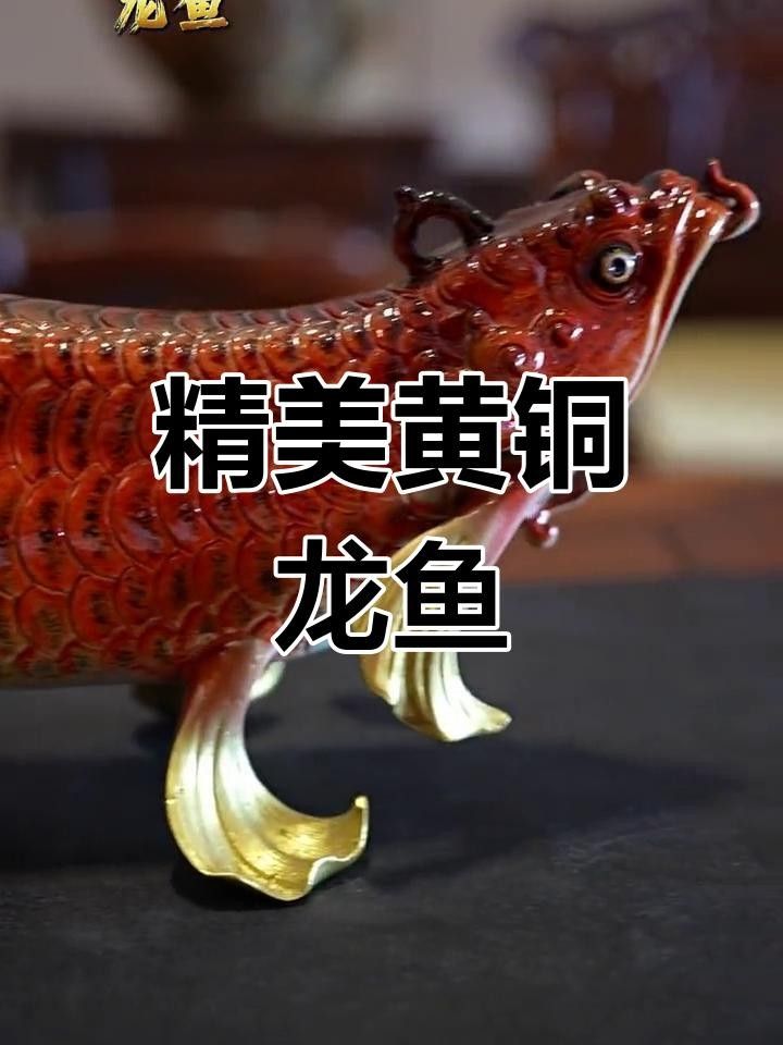 龍頭魚擺件哪個材質(zhì)最好？ 龍頭魚擺件哪個材質(zhì)最好？ 龍魚百科 第3張