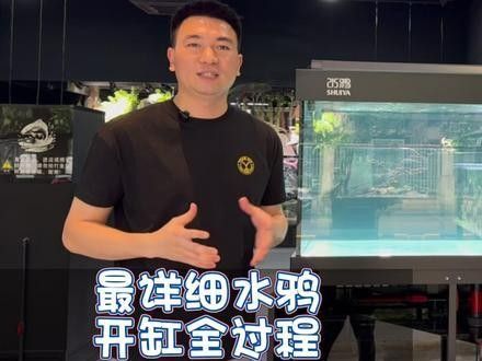 龍魚精養缸