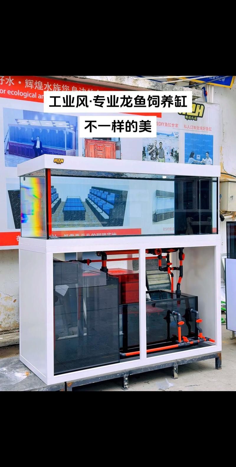 龍魚精養(yǎng)缸