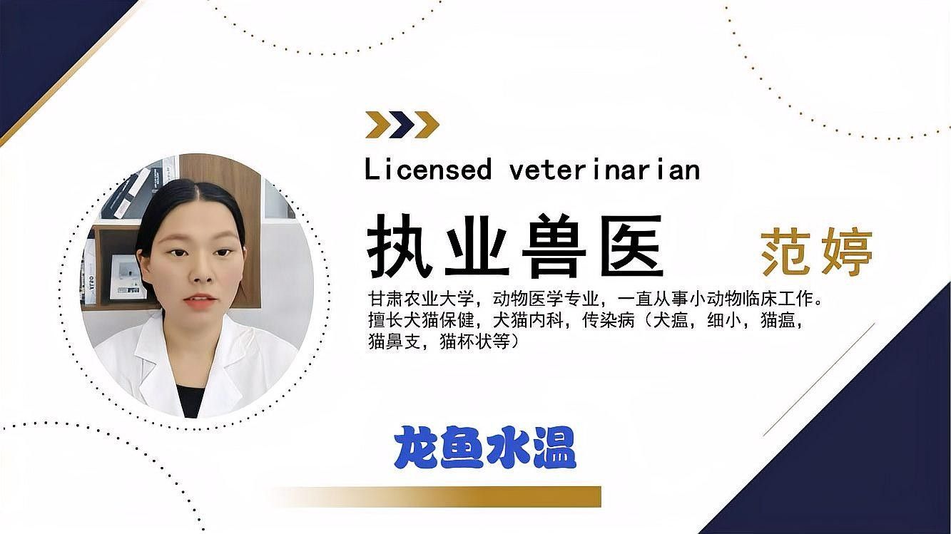 龍魚虎魚水溫多少適合換水 龍魚虎魚水溫多少適合換水 龍魚百科 第2張