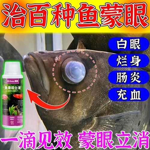 龍魚眼睛有白色絮狀物圖片大全