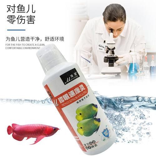龍魚眼睛有白色絮狀物圖片大全