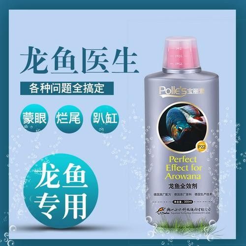 龍魚眼睛有白色絮狀物圖片大全
