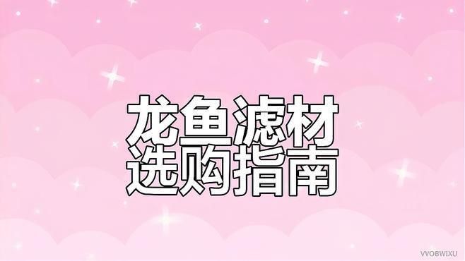 龍魚濾材5種推薦