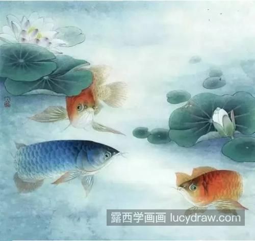 紅龍魚(yú)貴還是藍(lán)龍貴