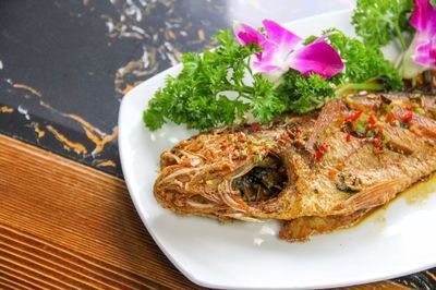 揭陽金龍魚代理人【如何成為揭陽金龍魚代理人】 揭陽金龍魚代理人【如何成為揭陽金龍魚代理人】 龍魚百科 第4張