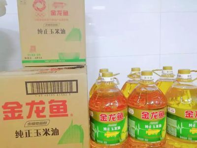 揭陽金龍魚代理人【如何成為揭陽金龍魚代理人】 揭陽金龍魚代理人【如何成為揭陽金龍魚代理人】 龍魚百科 第5張