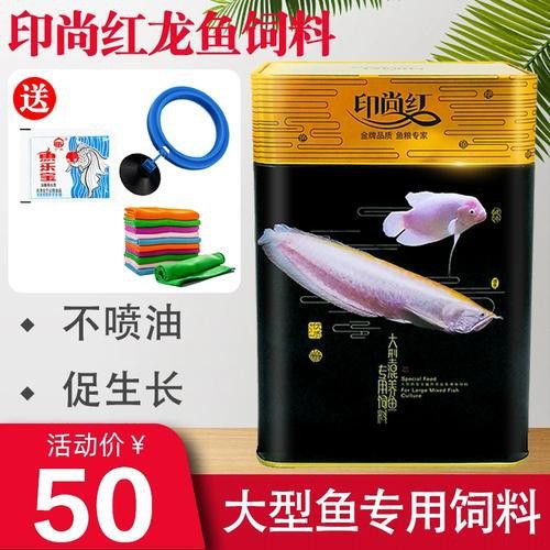 戰(zhàn)船魚可以和龍魚混養(yǎng)嗎圖片大全