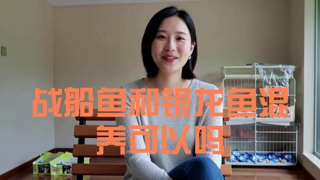 戰(zhàn)船魚可以和龍魚混養(yǎng)嗎圖片大全