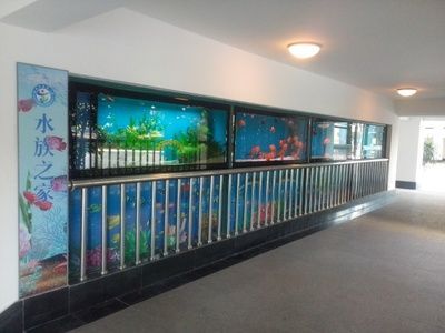 品牌紅龍bb祥龍魚場：祥龍魚場的紅龍品牌 品牌紅龍bb祥龍魚場：祥龍魚場的紅龍品牌 龍魚百科 第1張