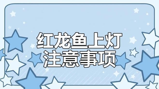 紅龍魚燈需要多久換一次？