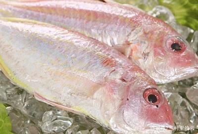 龍魚眼充血怎么治（龍魚眼充血可能由多種因素引起，治療方法需要根據(jù)不同原因進(jìn)行調(diào)整） 龍魚眼充血怎么治（龍魚眼充血可能由多種因素引起，治療方法需要根據(jù)不同原因進(jìn)行調(diào)整） 龍魚百科 第2張