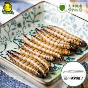 金龍魚成年要多久喂一次龜糧：金龍魚一天喂多少次食金龍魚一天喂多少次食物比較好 金龍魚成年要多久喂一次龜糧：金龍魚一天喂多少次食金龍魚一天喂多少次食物比較好 龍魚百科 第3張