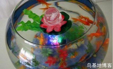 如何根據生辰八字選魚缸位置，如何判斷八字是否缺水