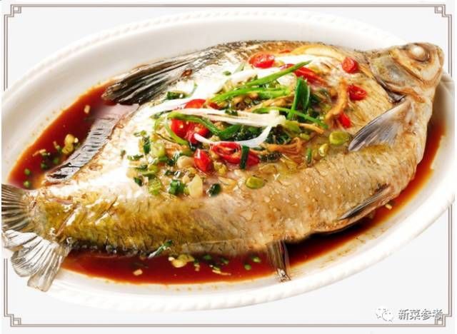 龍魚哪里產(chǎn)的好吃：泰國(guó)龍魚養(yǎng)殖技術(shù)