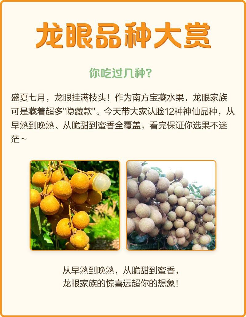 如何判斷龍眼菩提的產(chǎn)地？ 如何判斷龍眼菩提的產(chǎn)地？ 龍魚(yú)百科 第2張