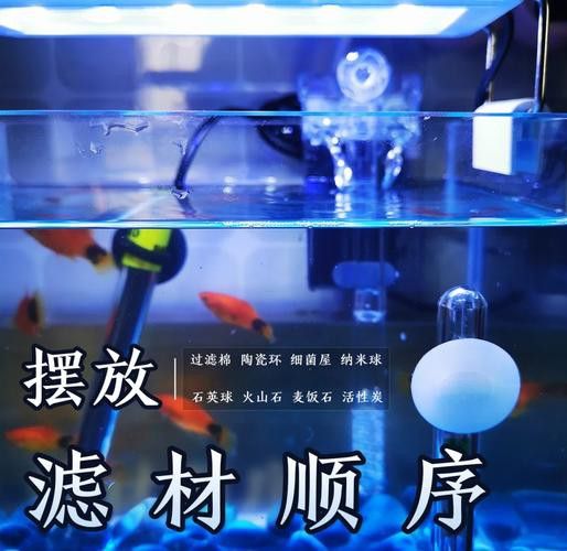 哪種過濾系統(tǒng)最適合過背金龍魚？