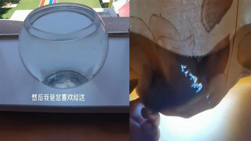 西安魚缸定做祥龍魚場代理店（西安魚缸定做哪家好西安魚缸定做祥龍魚場代理店）