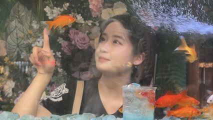 西安魚缸定做祥龍魚場代理店（西安魚缸定做哪家好西安魚缸定做祥龍魚場代理店）