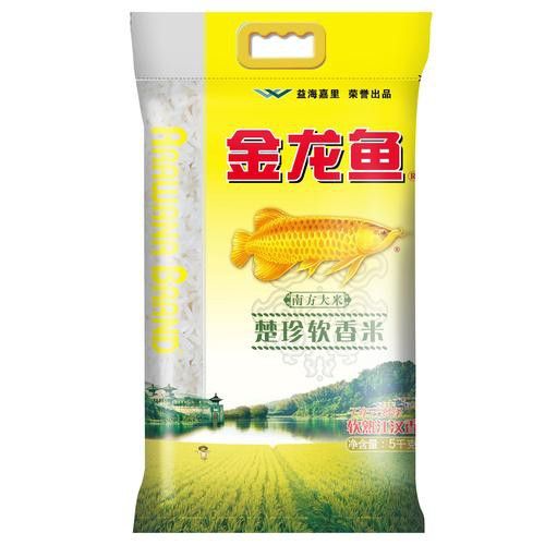 金龍魚科技創新
