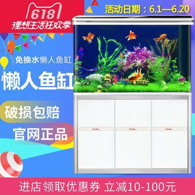 龍魚幼魚多久換一次水比較好養：龍魚幼魚多久換一次水