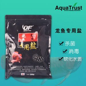 龍魚餌料怎么消毒最好：龍魚餌料怎么消毒